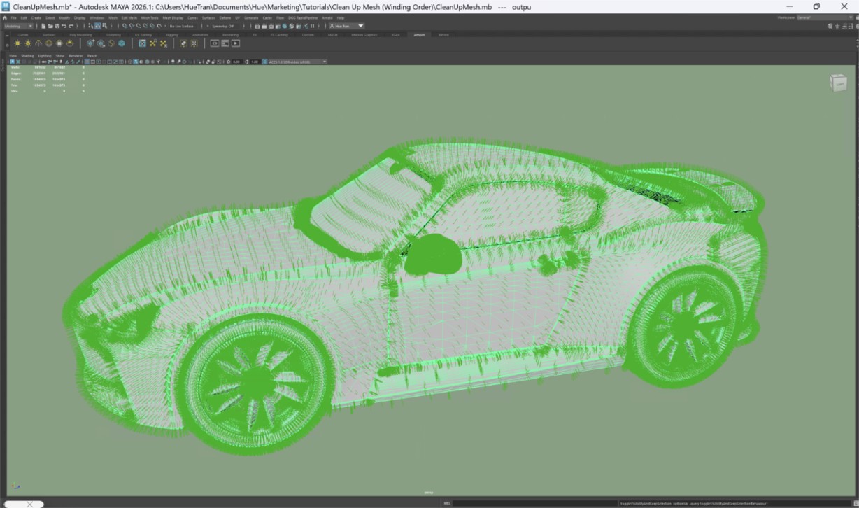 Screenshot of the input model
