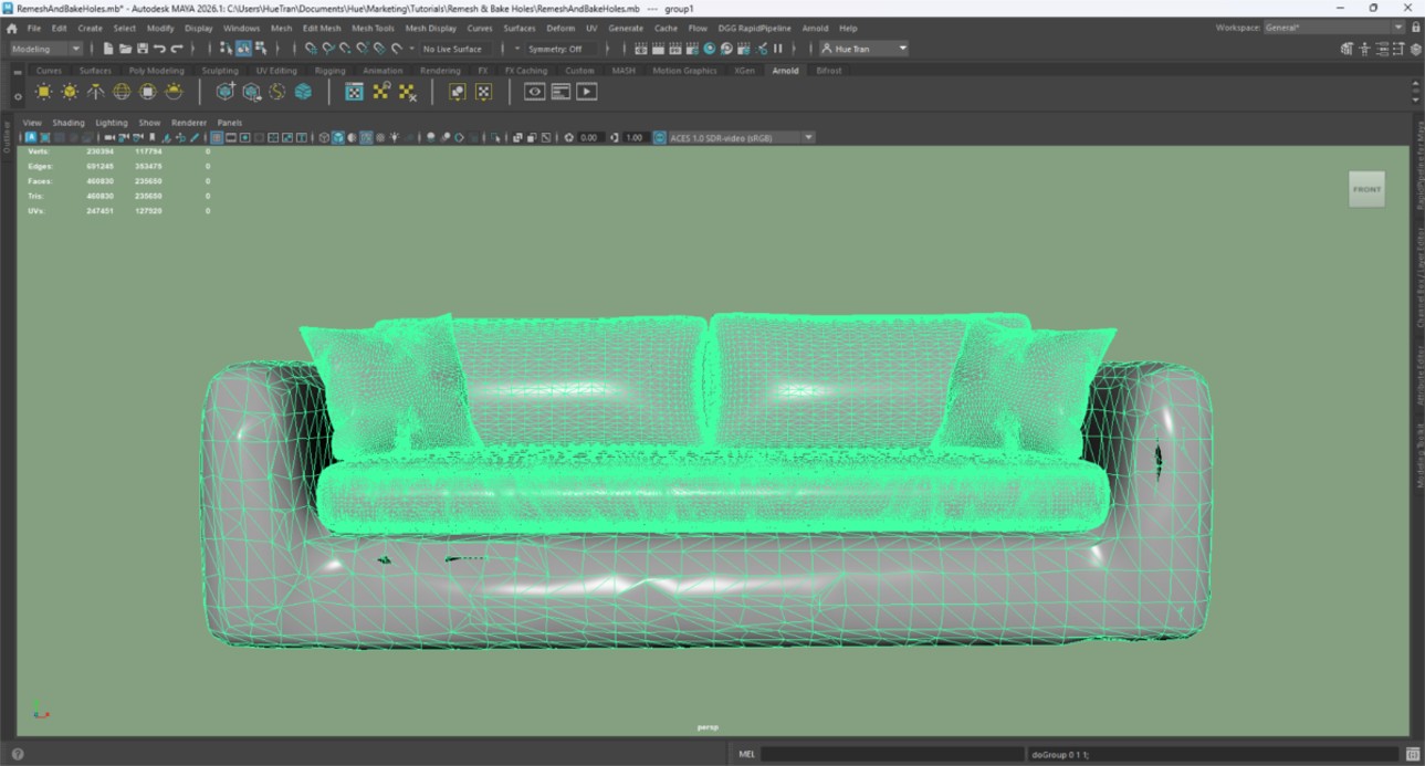 Screenshot of the input model