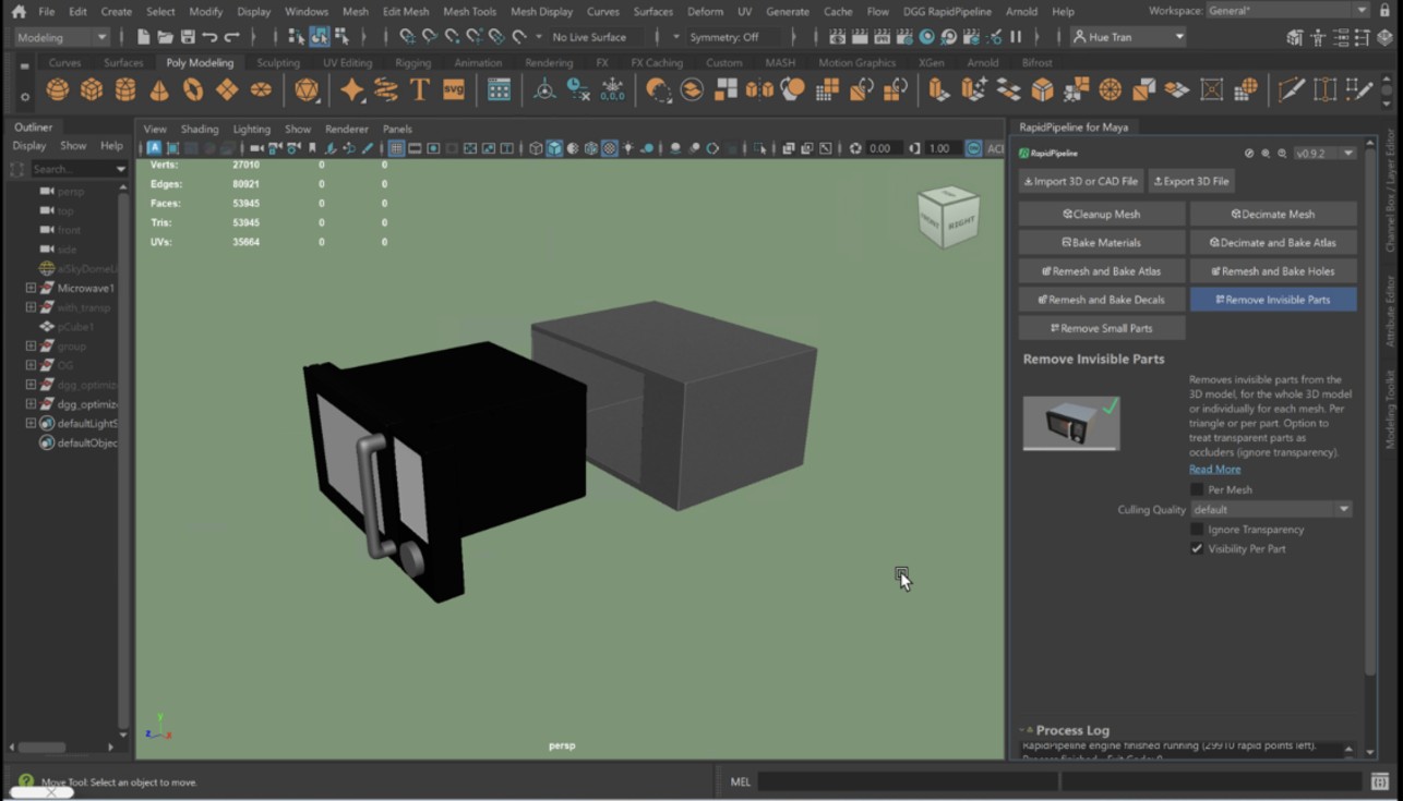 Screenshot of the input model