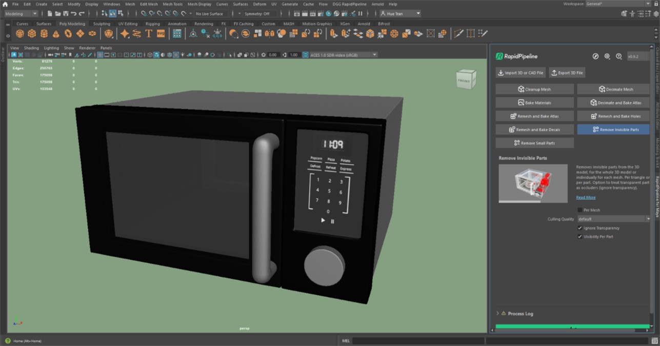 Screenshot of the input model